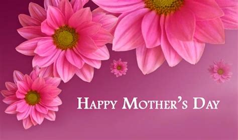 Pink tulips flowers on pink background. Happy Mothers Day Images & Pictures to Send in 2021