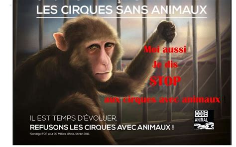 Paris Une Campagne Daffichage Contre Les Cirques Avec Animaux
