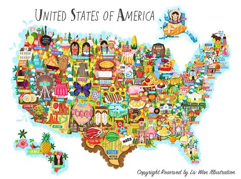 United States Of America Map Illustration Liv Wan Illustration
