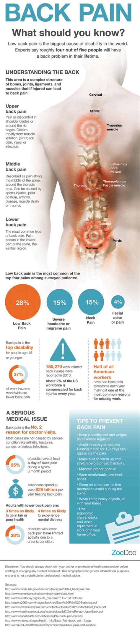 20 Interesting Infographics On Back Pain Infographics By