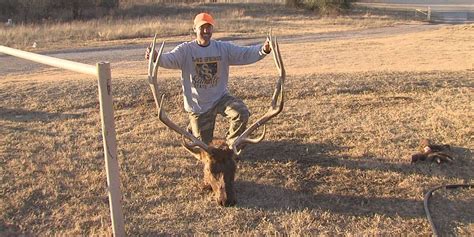 Controlled Elk Hunt Starts At Wildlife Refuge