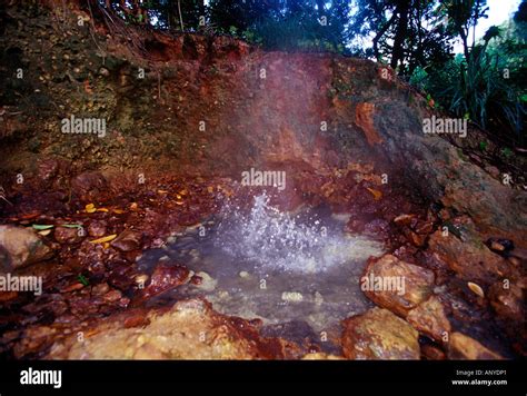 hot steam bursting out fumaroles throughout the valley of desolation morne trois pitons