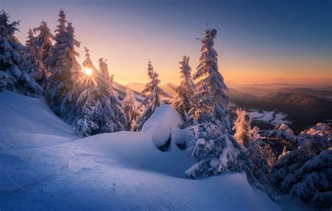 Wallpaper Winter Snow Trees Sunset Mountains Ate The Snow