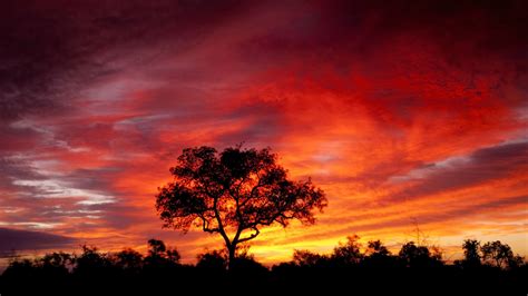 South Africa Savna Sky With Red Cloud Eclipse Sunset Desktop Wallpaper