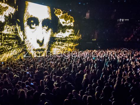 U2 Concert Crowd, LA Forum, 2016 | Concert crowd, Concert ...