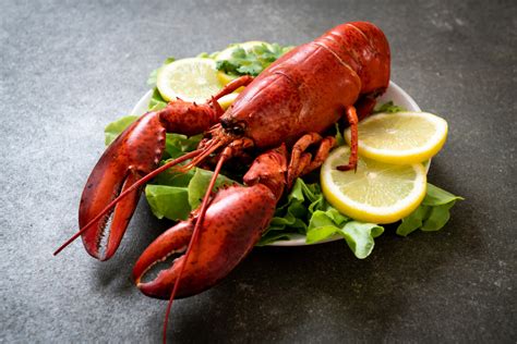 Cooked Boston Lobster 350 450g Savour Seafood