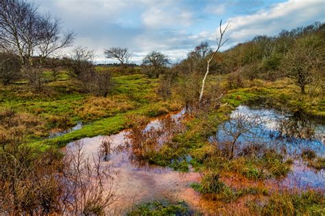 Waterlogged Hollow After Heavy Rains Stan Schaap Photography