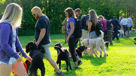 Highland Canine Training Personal Review School For Dog Trainers 2018