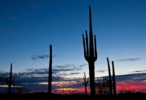 Blm Winter Bucket List 27 Sonoran Desert National Monument Arizona