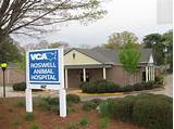 Images of Animal Hospital Roswell Ga