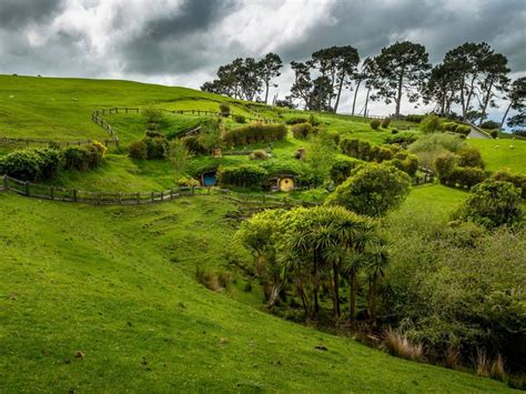 Hobbiton In The Shire Near Matamata North Island New Zealand