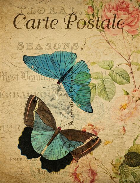 Butterflies Vintage Floral Postcard Free Stock Photo Public Domain