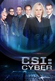 CSI: Cyber - Série (2015) - SensCritique