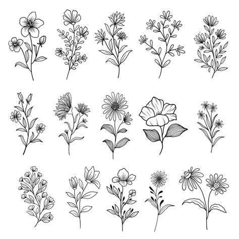 Hand Drawn Flowers And Plants Vector Set Flower Vector Hand Drawn