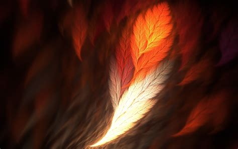 Abstract Feathers Fractal