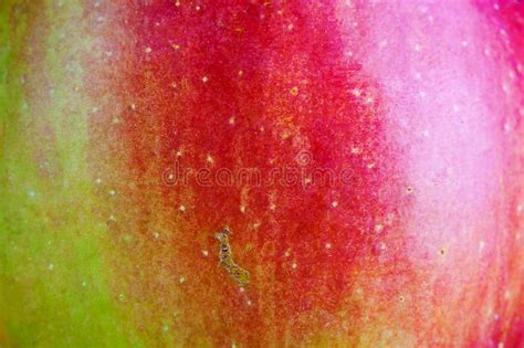 Texture Of Ripe Green Apple Peel Stock Photo Image Of Fruit Macro