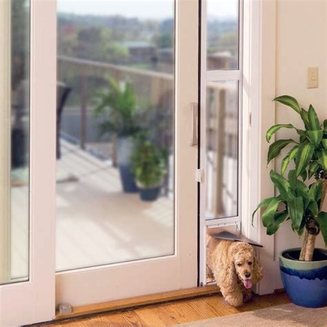 Patio panel pet doors are the perfect solution for adding pet doors to sliding glass doors. PetSafe Sliding Glass Pet Door Panel | Sliding glass door ...