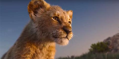 Long live the king 2019. Lion King 2019 Trailer - Beyonce, Seth Rogen Star in the ...