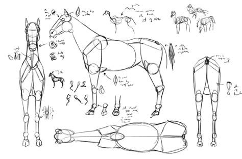 468 best Art Tutorials and Reference images on Pinterest ... How to draw animals with colored pencils: