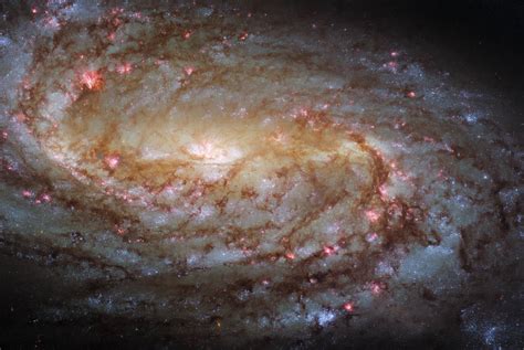 Hubble Captures Striking New Image Of Spiral Galaxy Ngc 2903 Scinews