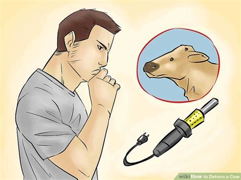 4 Ways To Dehorn A Cow Wikihow