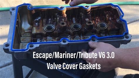 Ford Focus Valve Cover Gasket