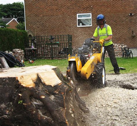 Stump Grinding And Removal Wholetree Tree Surgery