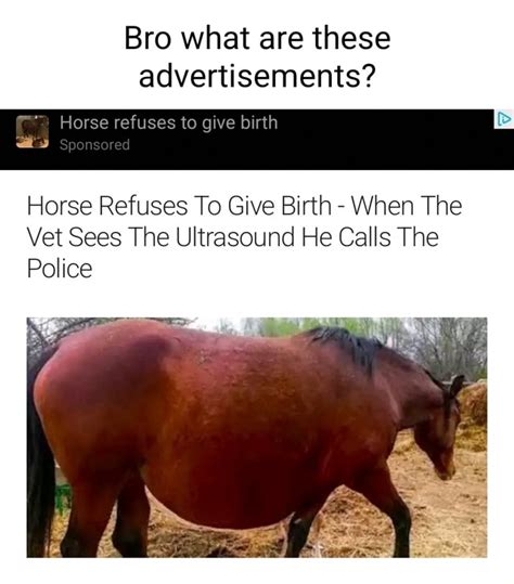Bro What Are These Advertisements Horse Refuses To Give Birth