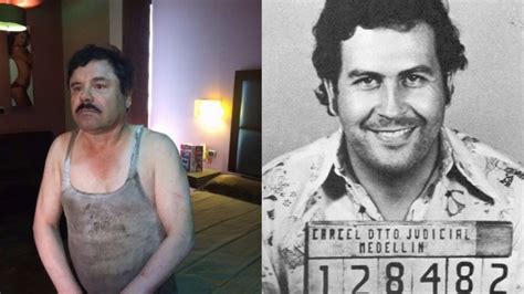 El Chapo Guzman Y Pablo Escobar Se Conocieron