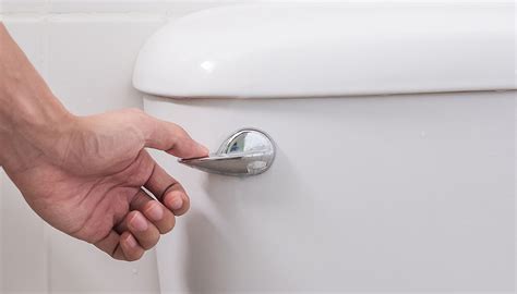 The Correct Way To Flush A Toilet According To Health Experts