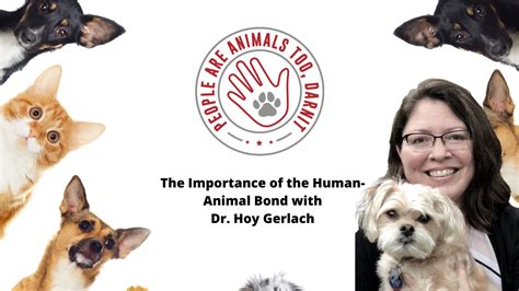 The Importance Of The Human Animal Bond Better Together Animal Alliance