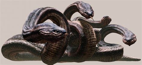 What Is Faster Demon Or Super Snake?