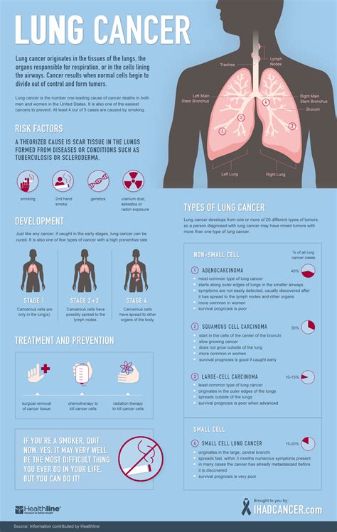 Lung Cancer A Visual Guide
