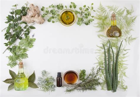 The Herbal Natural Background Stock Photo Image 40334872