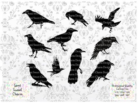 Crow Svg Raven Svg Silhouette Svg Bird Svg Bundle Svg Cutting File