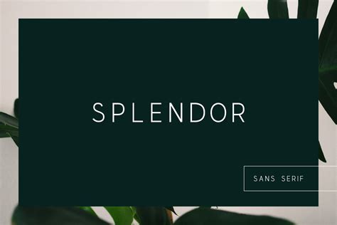 Splendor Modern Display Font Sans Serif Fonts ~ Creative Market