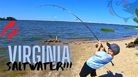 Fishing Virginias Saltwater Great Land Based Spots Youtube
