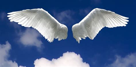 Angel Wings With Sky Background Synergy Fostering