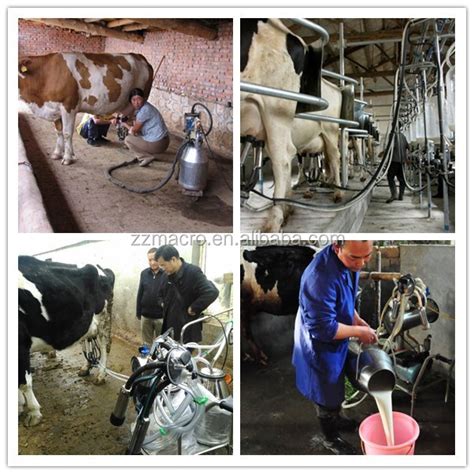 Factory Price Big Promotion Milking Equipment For Cows Vacuum Pump