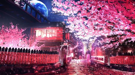 Pink Leafed Tree Anime Sakura Tree Road Hd Wallpaper