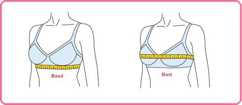 Women Bra Sizes Types And Styles Youth Center Global