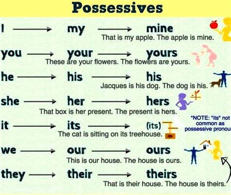 Adjetivos Y Pronombres Posesivos En Ingles Ingles Rapido Images