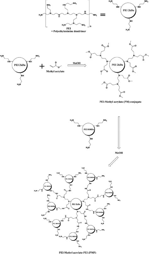 In this type of diagram. Synthetic process of PMP. | Download Scientific Diagram