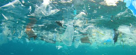 Tackling The Plastic Problem Have Your Say