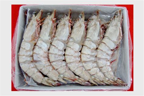 About Us Frozen Shrimp Suppliers Frozen Shrimp Factory Indonesia