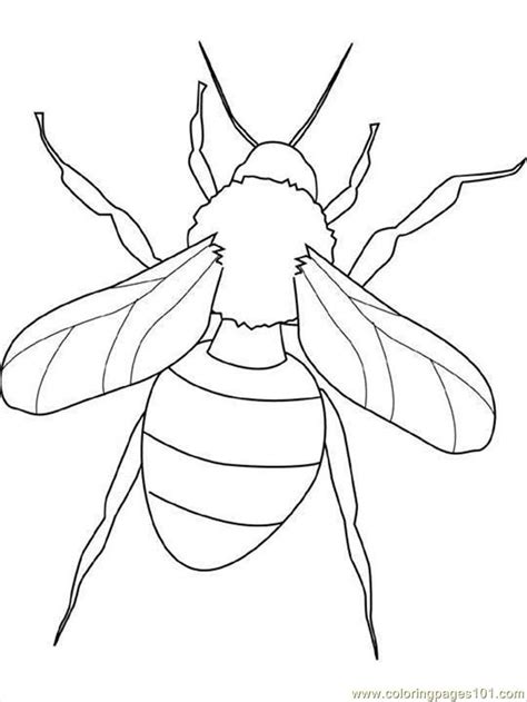 4 Best Images Of Printable Insect Coloring Pages Insect Coloring