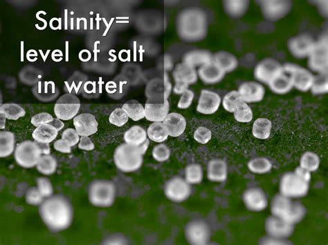 Salinity By Agarhart