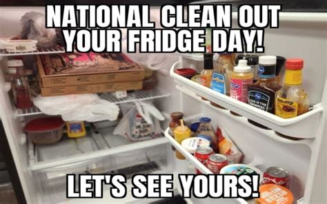 Today Is National Clean Oiut Your Fridge Day Show Us Yours 95