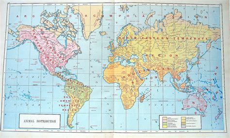 1890 Map Animal Distribution Antique World Atlas Map Etsy World