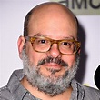 David Cross - Rotten Tomatoes